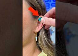 Enlace a ¿Sabías que los pliegues de las orejas sirven para identificar de donde vienen los sonidos?