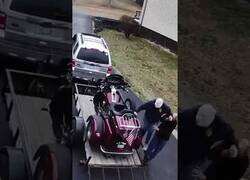 Enlace a Todo salió peor de lo esperado