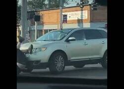 Enlace a La primera vez que veo un Cybertruck azul