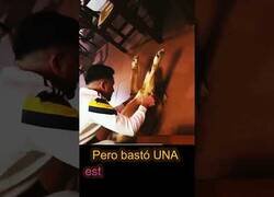 Enlace a Estiran a un perro por primera vez y se queda así de a gusto