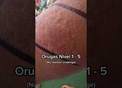 Enlace a Este tipo se sometió a la prueba de la oruga