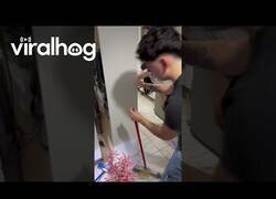 Enlace a Cuando el ratón no se deja atrapar