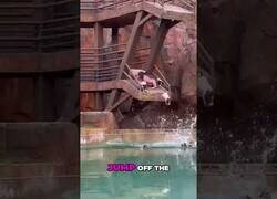 Enlace a Parque acuático para cerdos