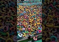 Enlace a Mientras tanto, en una piscina cualquiera en China...