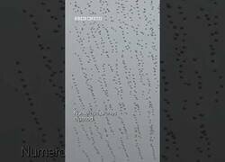 Enlace a La policía derriba drones de un espectáculo y provoca una lluvia de drones