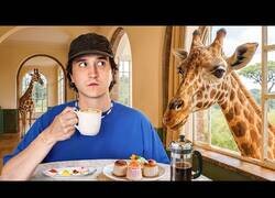 Enlace a Así viven los multimillonarios en Nairobi