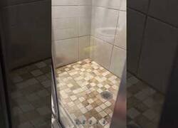 Enlace a No es la mejor manera de matar a una araña