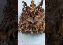 Enlace a El arte de la perspectiva de Thomas Deininger