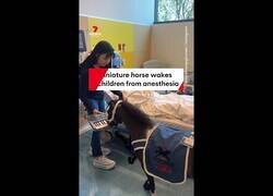 Enlace a Ponys tocando el piano para despertar a niños de la anestesia en un hospital de EEUU