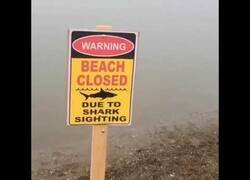 Enlace a Esta playa está cerrada por avistamiento de tiburón