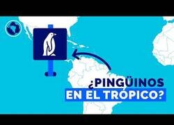 Enlace a ¿Qué es lo que está más cerca de los polos?