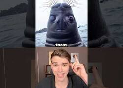 Enlace a Así se verían los animales si tuvieran los ojos delante