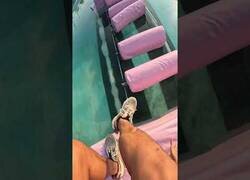 Enlace a Que me digan dónde es, quiero hacerlo