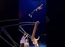 Enlace a Desafiando la gravedad cada día de tu vida