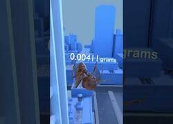 Enlace a ¿Qué pasa si dejas caer una hormiga desde lo alto de un edificio?