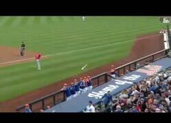 Enlace a Padre salva a sus hijos de un bate volador