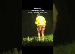 Enlace a Bad Bunny se lesiona la rodilla en pleno concierto