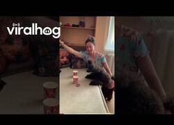 Enlace a Este caniche hace puntería tirando gomas