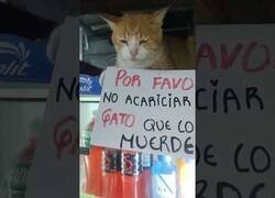 Enlace a Quién avisa no es traidor...