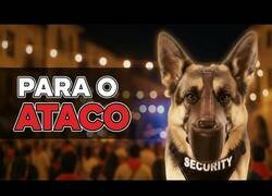 Enlace a Así actúan los perros anti-pelea en las fiestas de los pueblos
