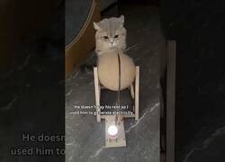 Enlace a El gato no paga renta así que al menos le tengo generando electricidad