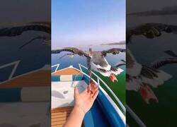 Enlace a Ese momento en el que conectas con la naturaleza