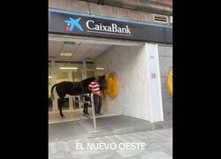 Enlace a Cuando vas a sacar dinero en caballo