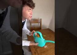 Enlace a Restaurantes que utilizan cualquier cosa menos platos