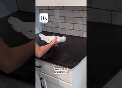 Enlace a El pájaro que se pensaba que era una botella de spray