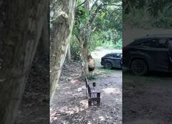 Enlace a Este tipo está realmente jodido