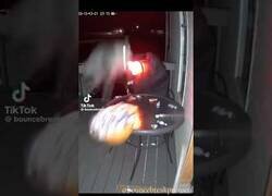 Enlace a Esta zarigüeya es asustada por los decorados de Halloween