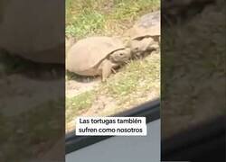 Enlace a No somos tan diferentes