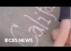 Enlace a Este niño de 5 años es capaz de escribir a mano cualquier tipo de fuente