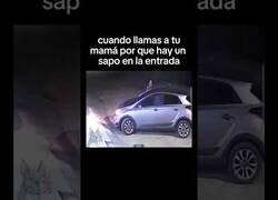 Enlace a Cuando llamas a tu mamá porque hay un sapo en la entrada