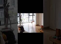 Enlace a Este gato se asusta de su propio vómito