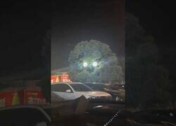 Enlace a Hay veces en las que no debes creer ni a tus propios ojos