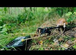 Enlace a Le ponen a un hongo unos brazos robóticos que reaccionan a sus impulsos y se pone a tocar el piano