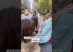 Enlace a No hay nada como dar un paseo en caballo por Nueva York