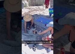 Enlace a Este perro adora que lo entierren en la arena
