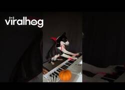 Enlace a Ya tenemos DJ para la fiesta de Halloween