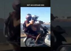 Enlace a Cuando le pides que conduzca al único que no ha bebido