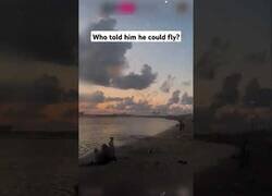 Enlace a Alguien le dijo que podía volar