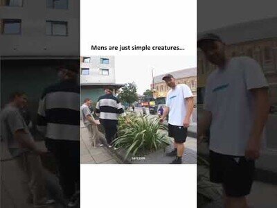 Una planta que hace ruido es suficiente para tener entretenidos a los hombres