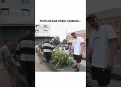 Enlace a Una planta que hace ruido es suficiente para tener entretenidos a los hombres