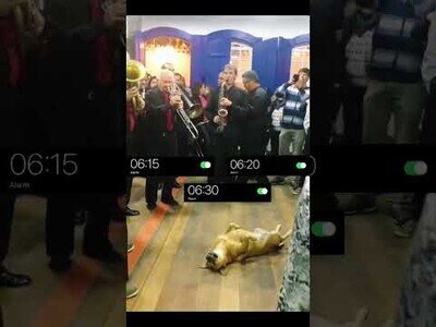 Yo todas las mañanas