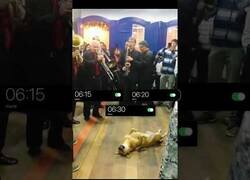 Enlace a Yo todas las mañanas