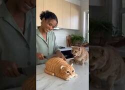Enlace a A este gato no le gustan las tartas realistas