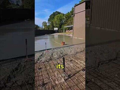 Por una vez no fue ni un gato ni un perro