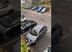 Enlace a Poniendo pegatinas difíciles de quitar a coches mal aparcados