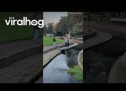 Enlace a Le faltó muy poquito...